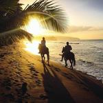 Horseback Riding