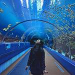 Georgia Aquarium