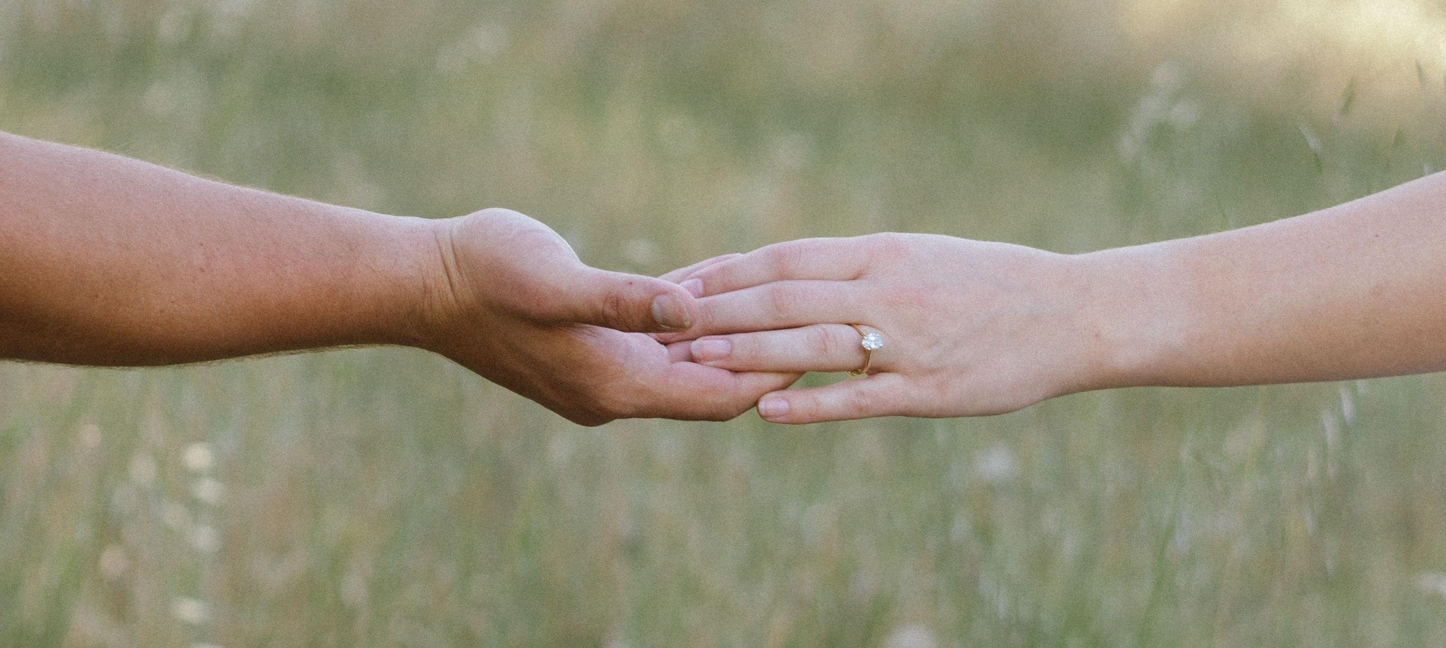 d390e80b-420e-4c34-a078-c75d4a55a72b