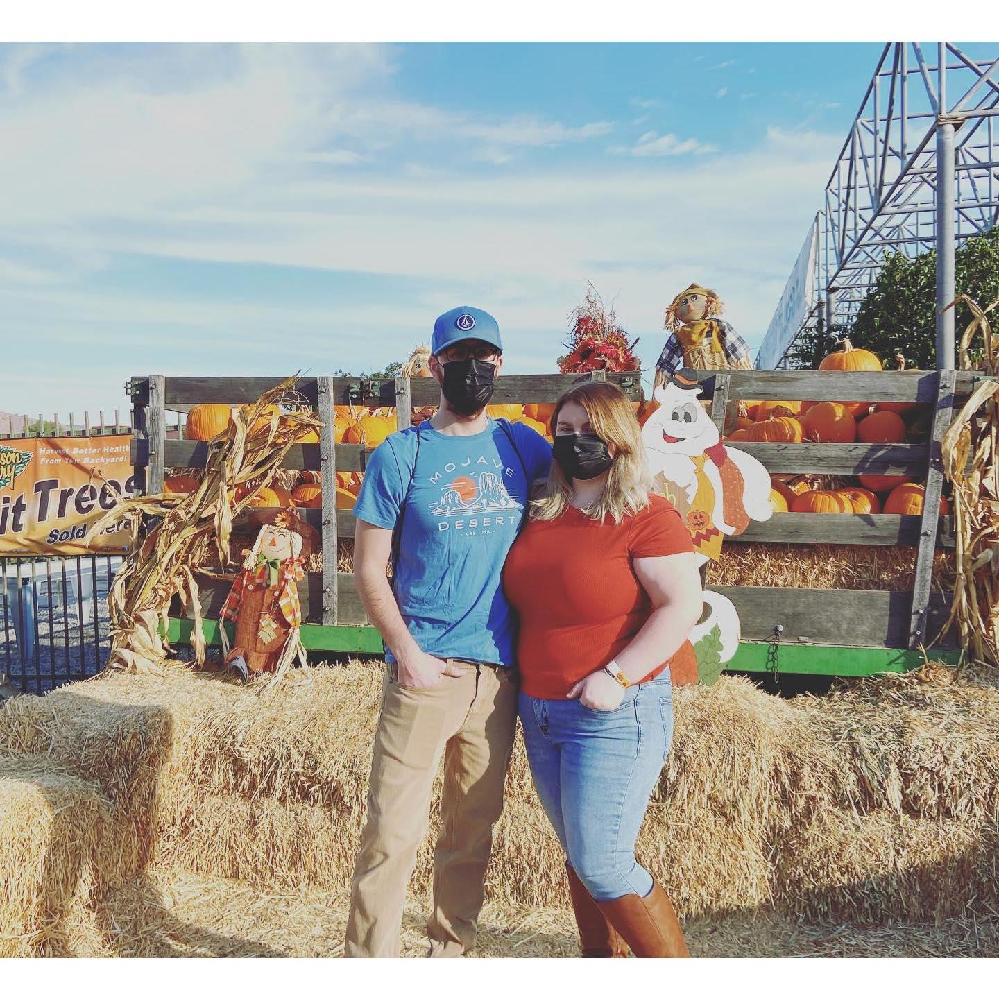 Covid pumpkin patch
