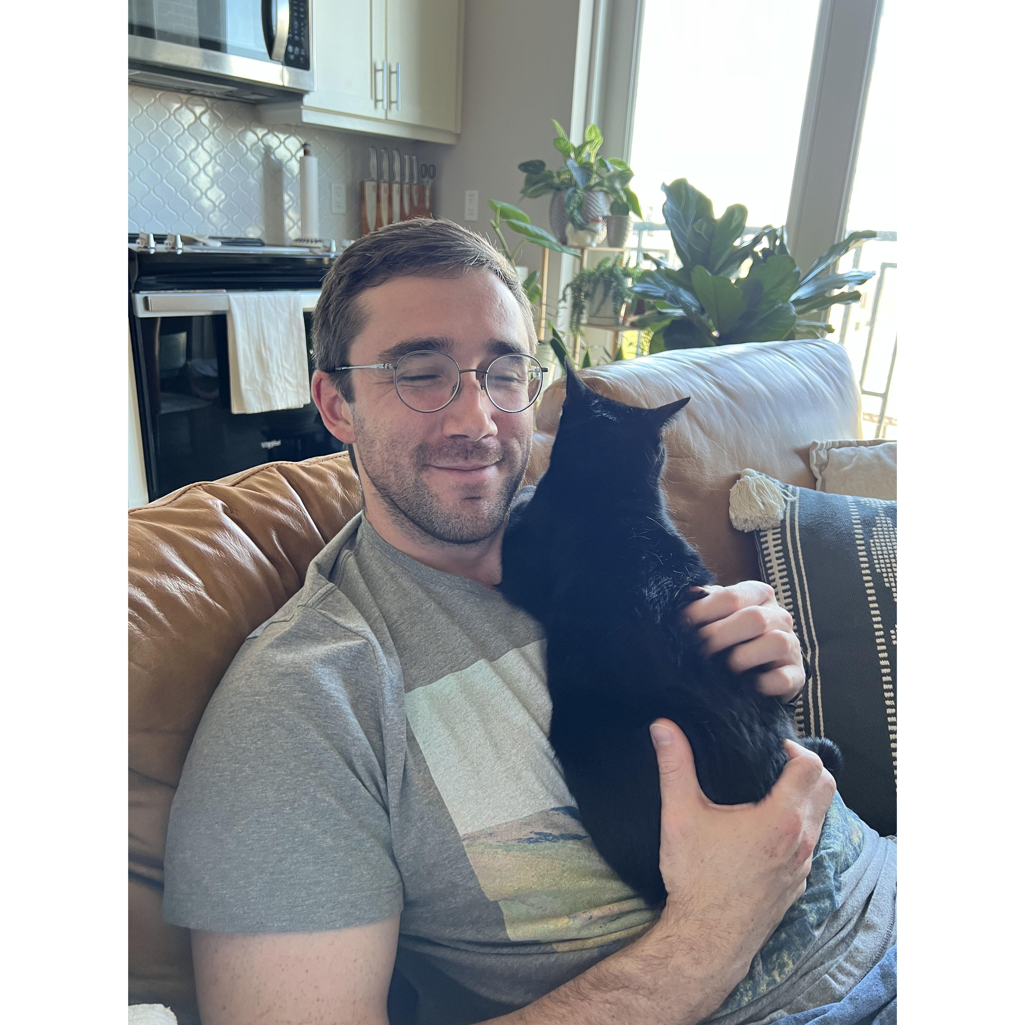 kitty bonding
