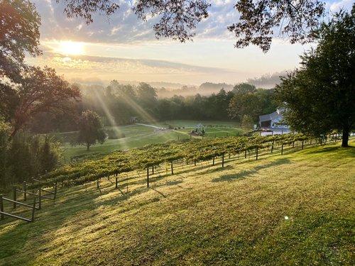 The Wedding Website of Alex Waller and Tyler Letts