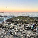 West Cliff Drive Walk