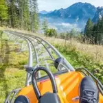 Mustang Mountain Coaster