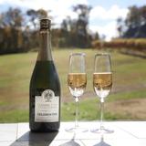 Paradise Hills Vineyard & Winery