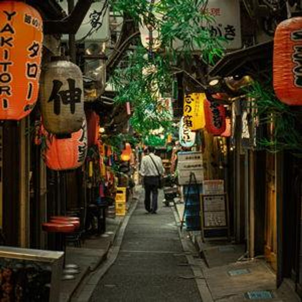 Our Japan Honeymoon Fund