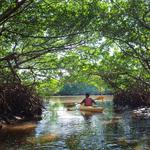Weedon Island Preserve
