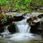 Welsh Mountain Nature Preserve