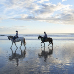 Horseback Riding