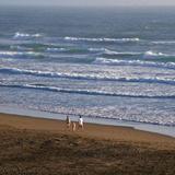 North Salmon Creek Beach