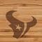 Houston Texans