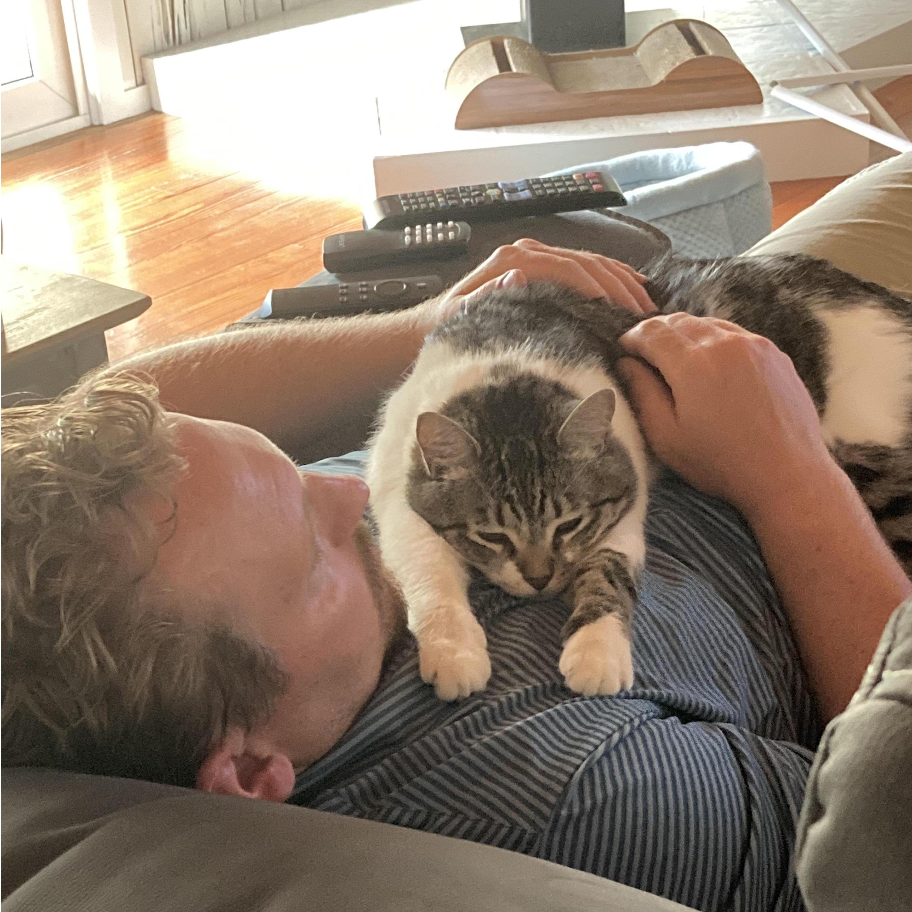 No matter how many times Matt says he doesn't like cats or cuddling...