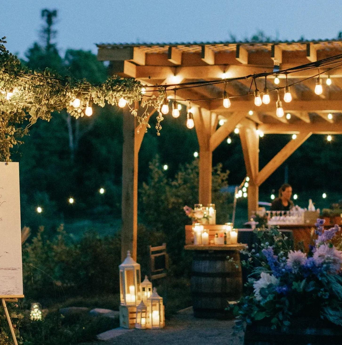 The Wedding Website of Chase Brown and Meghan Graham