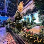 Bellagio Hotel & Casino (Conservatory & Botanical Gardens)