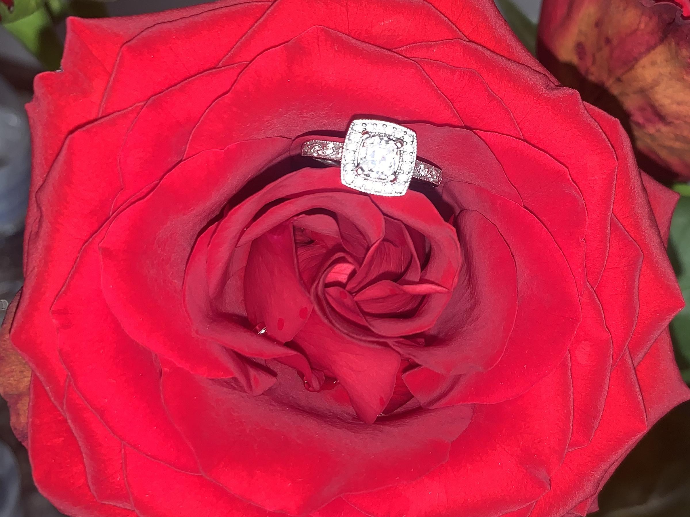 The Wedding Website of Arleen Rodriguez and Julio Valdes