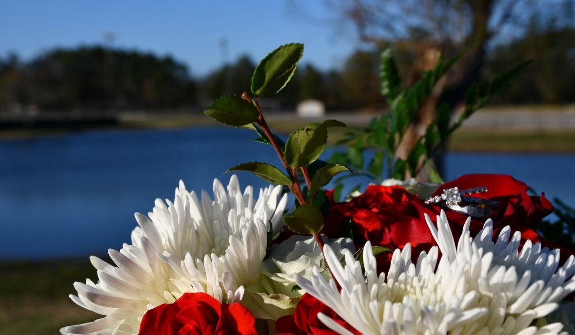 Footer image