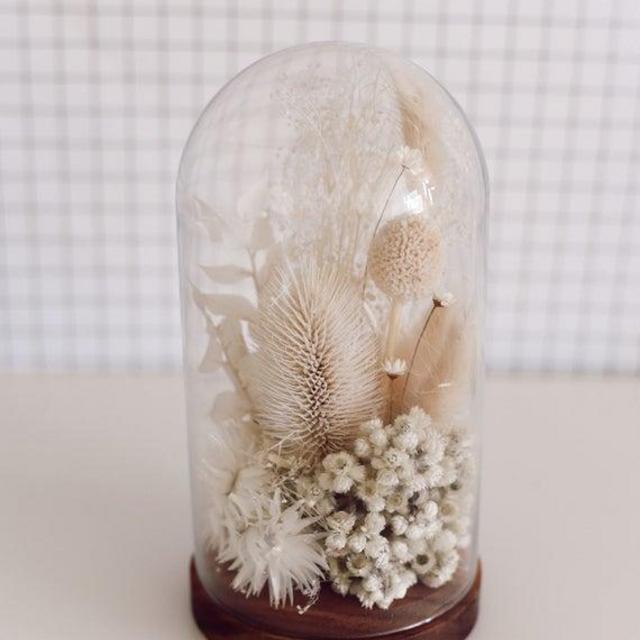 Medium Dried Forever Terrarium / Terrarium
