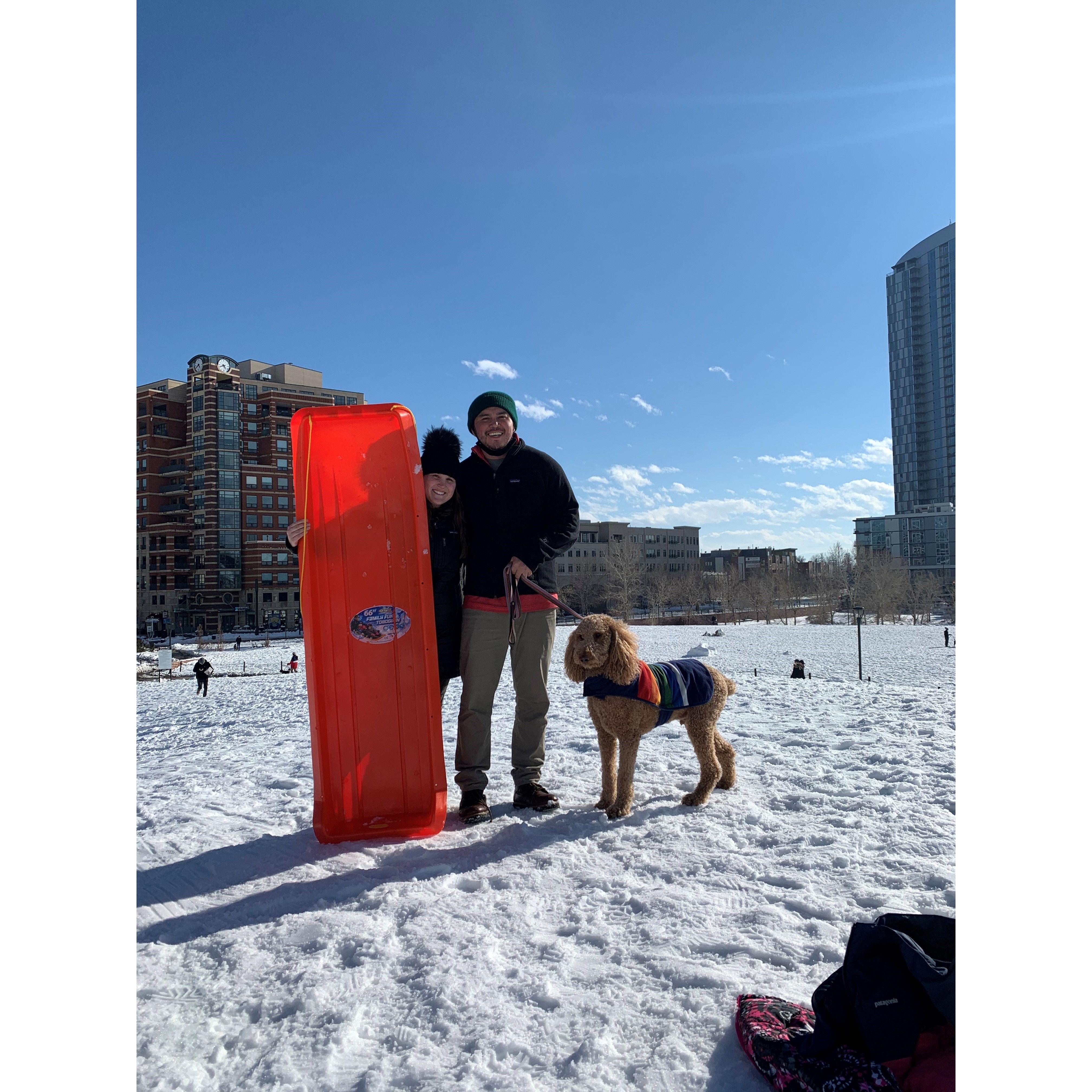 Sledding with Olive in downtown Denver