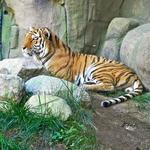 Indianapolis Zoo