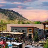 New Terrain Brewing Company