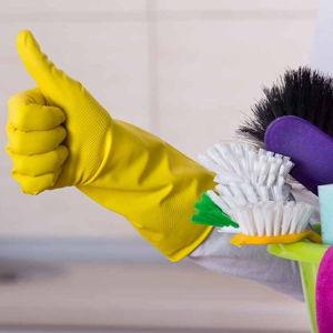 Professional House Cleaning