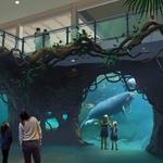 Clearwater Marine Aquarium