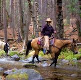 Yosemite Trails Horseback Adventures