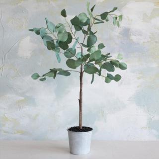 Faux Potted Eucalyptus Tree