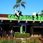 San Diego Zoo