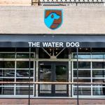 The Water Dog