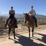 Wine Country