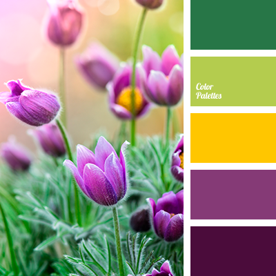 The color palette we ask our guests to please wear