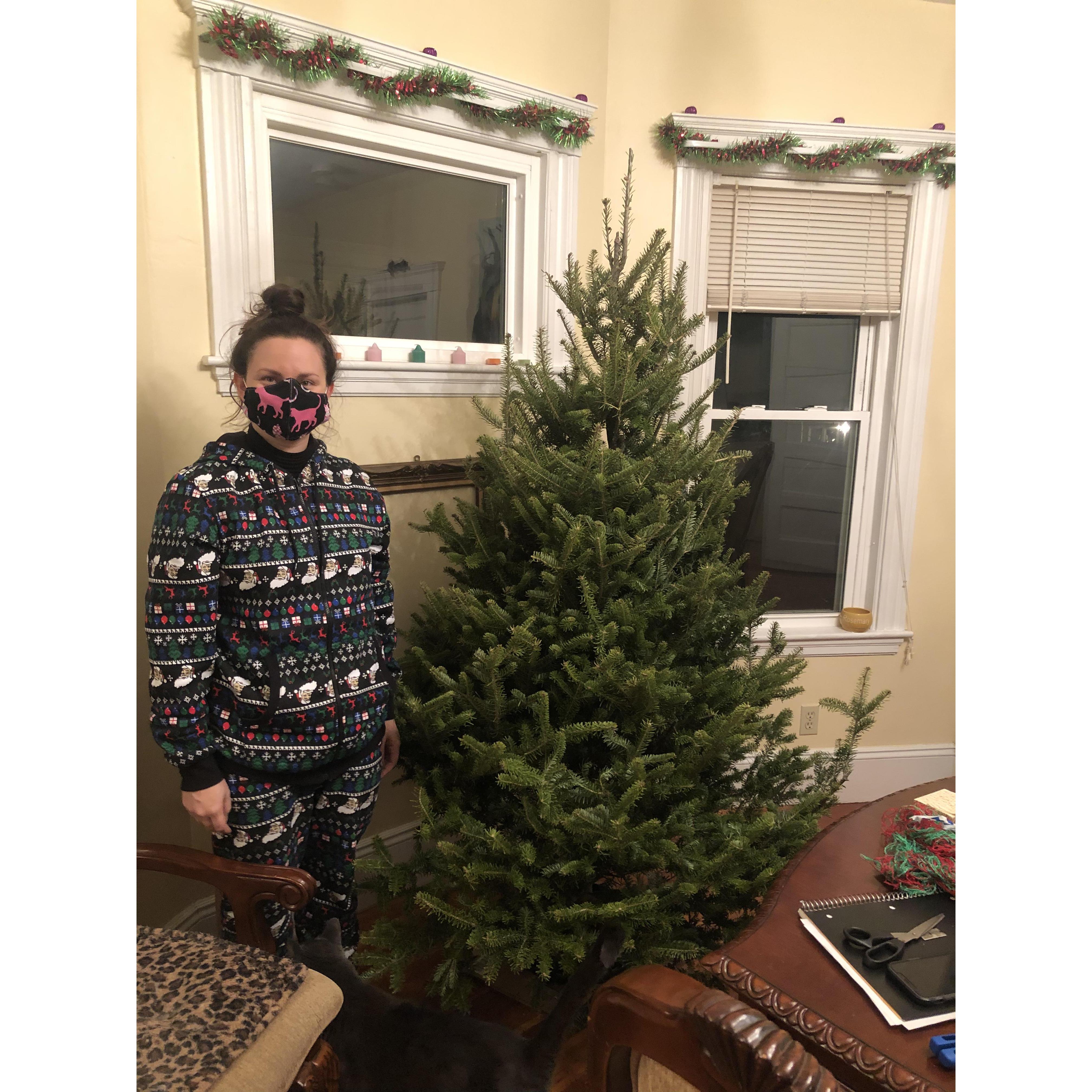Our first full sized Christmas tree! - 2020