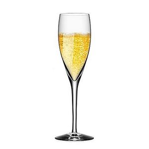 Orrefors More Champagne Flute (Set of 4)