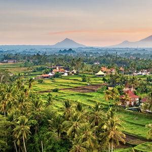Best of Ubud Private Tour