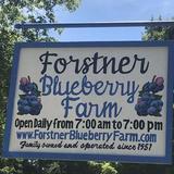 Forstner Blueberry Farm