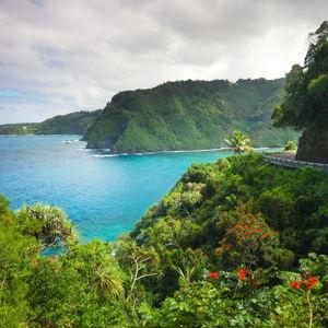 Maui Honeymoon