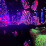 teamLab Biovortex Kyoto