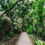 Brevard County Enchanted Forest Sanctuary