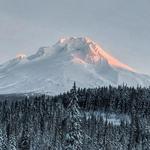 Mount Hood