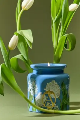 Apothecary 18 Floral Tulip Fields Ceramic Candle