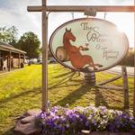The Saratoga Winery