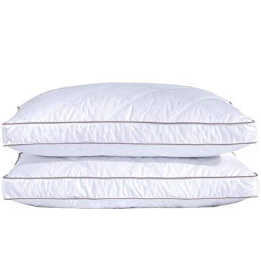 puredown Natural Goose Down Feather Pillows for Sleeping Down Pillow Cotton Pillow Cover Downproof Queen Set of 2