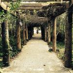 Airlie Gardens