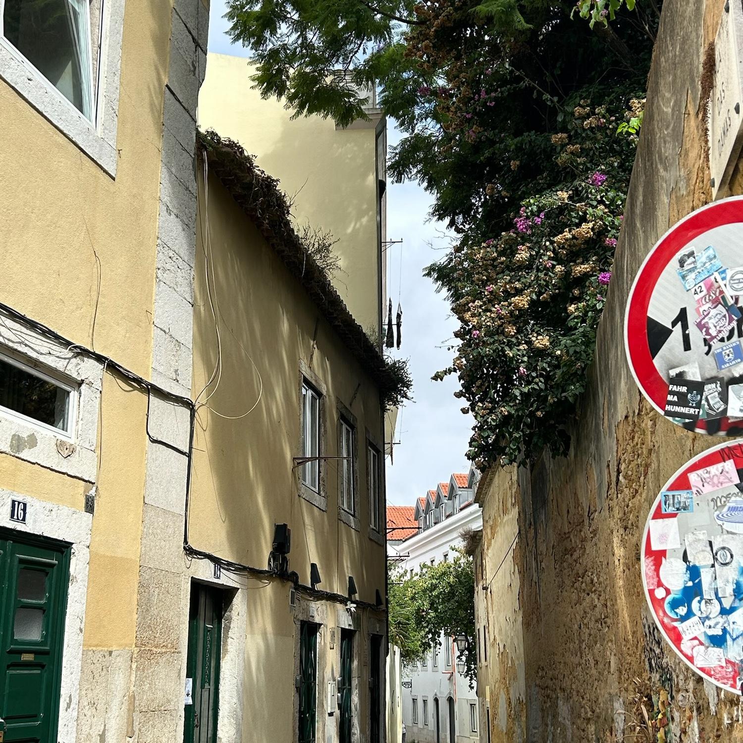 Even the alleys are beautiful here