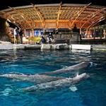 Mystic Aquarium