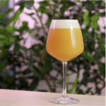 Our Favorite Breweries