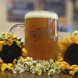Craft Beer & Breweries