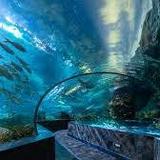 Ripley's Aquarium of the Smokies