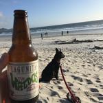 Carmel-by-the-Sea